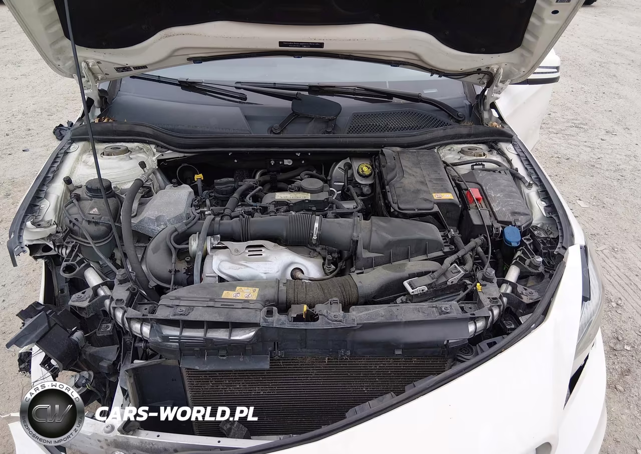 MERCEDES-BENZ CLA 250 VIN:WDDSJ4EB3GN325073 - 10