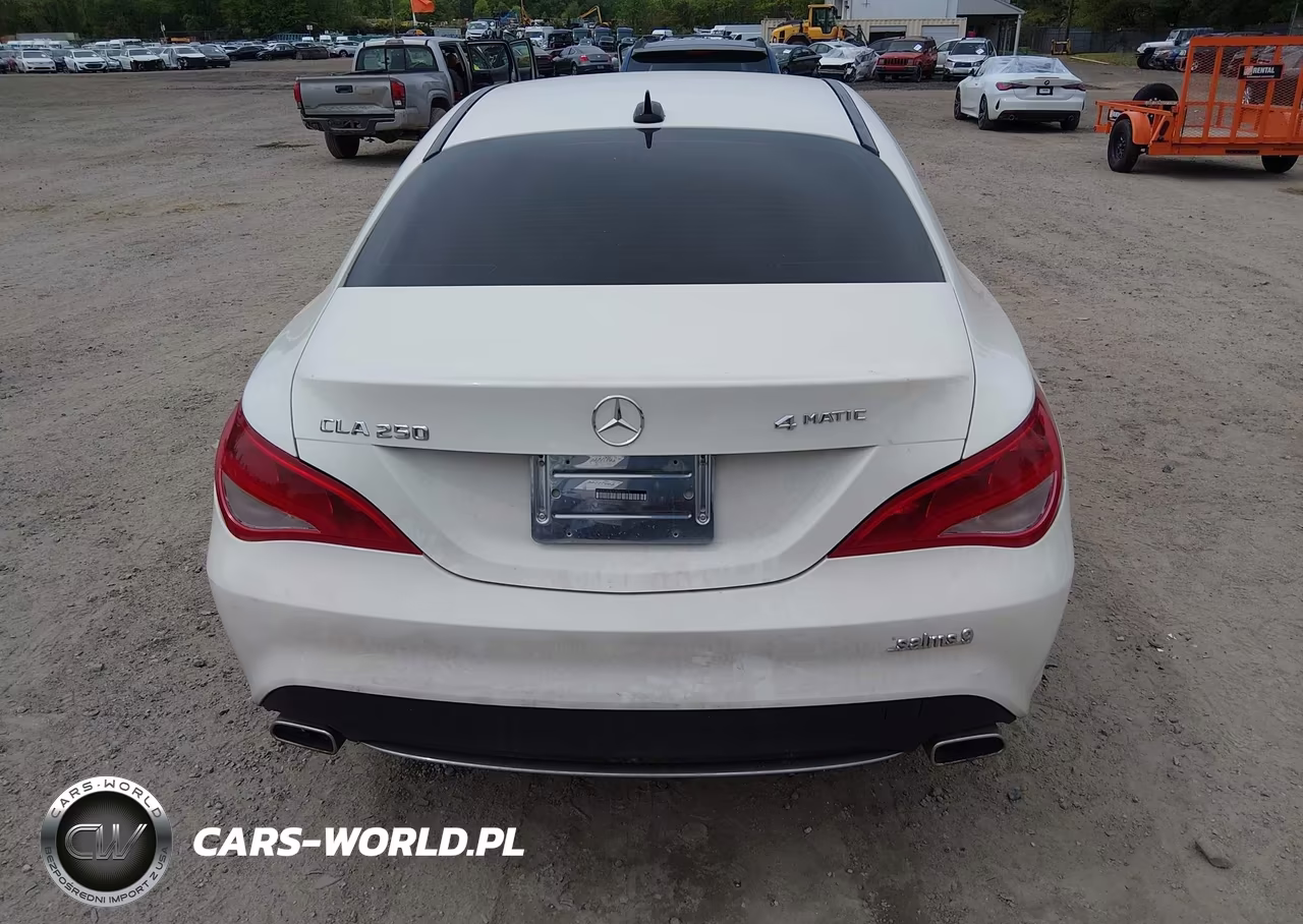 MERCEDES-BENZ CLA 250 VIN:WDDSJ4EB3GN325073 - 17