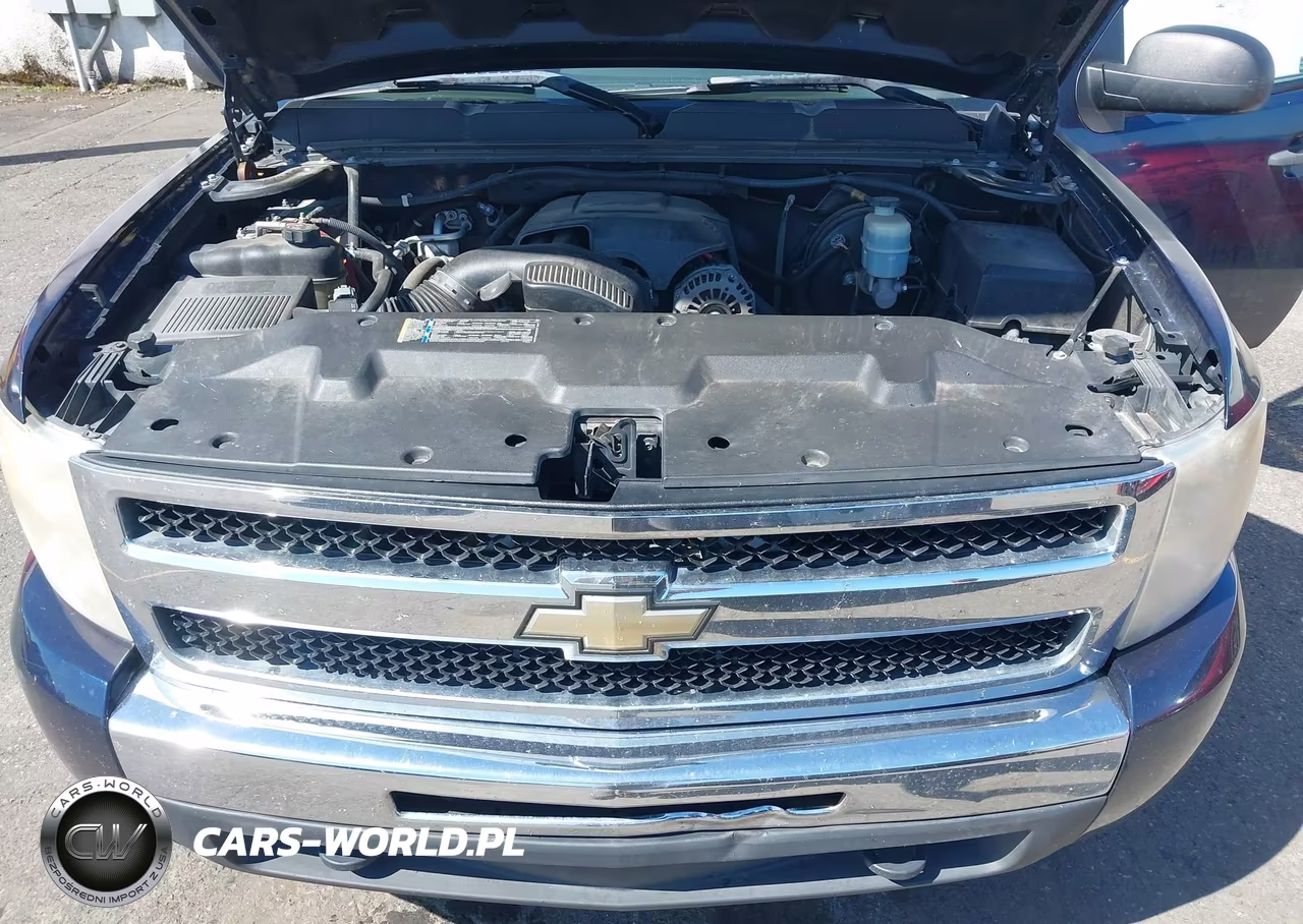 2010 Chevrolet Silverado 1500 Lt VIN:1GCSKSE30AZ256766 - 10
