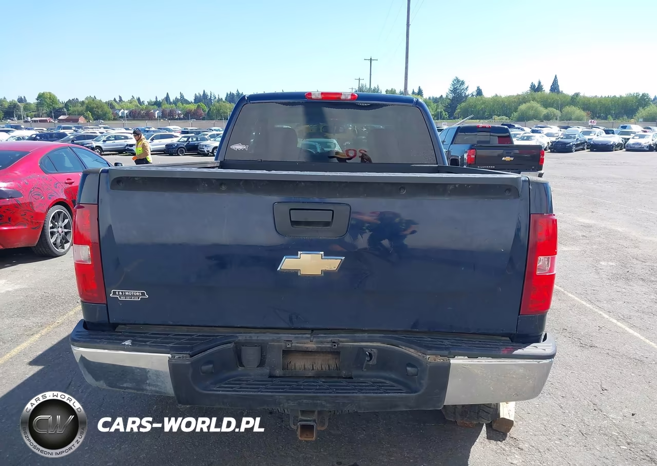 2010 Chevrolet Silverado 1500 Lt VIN:1GCSKSE30AZ256766 - 17