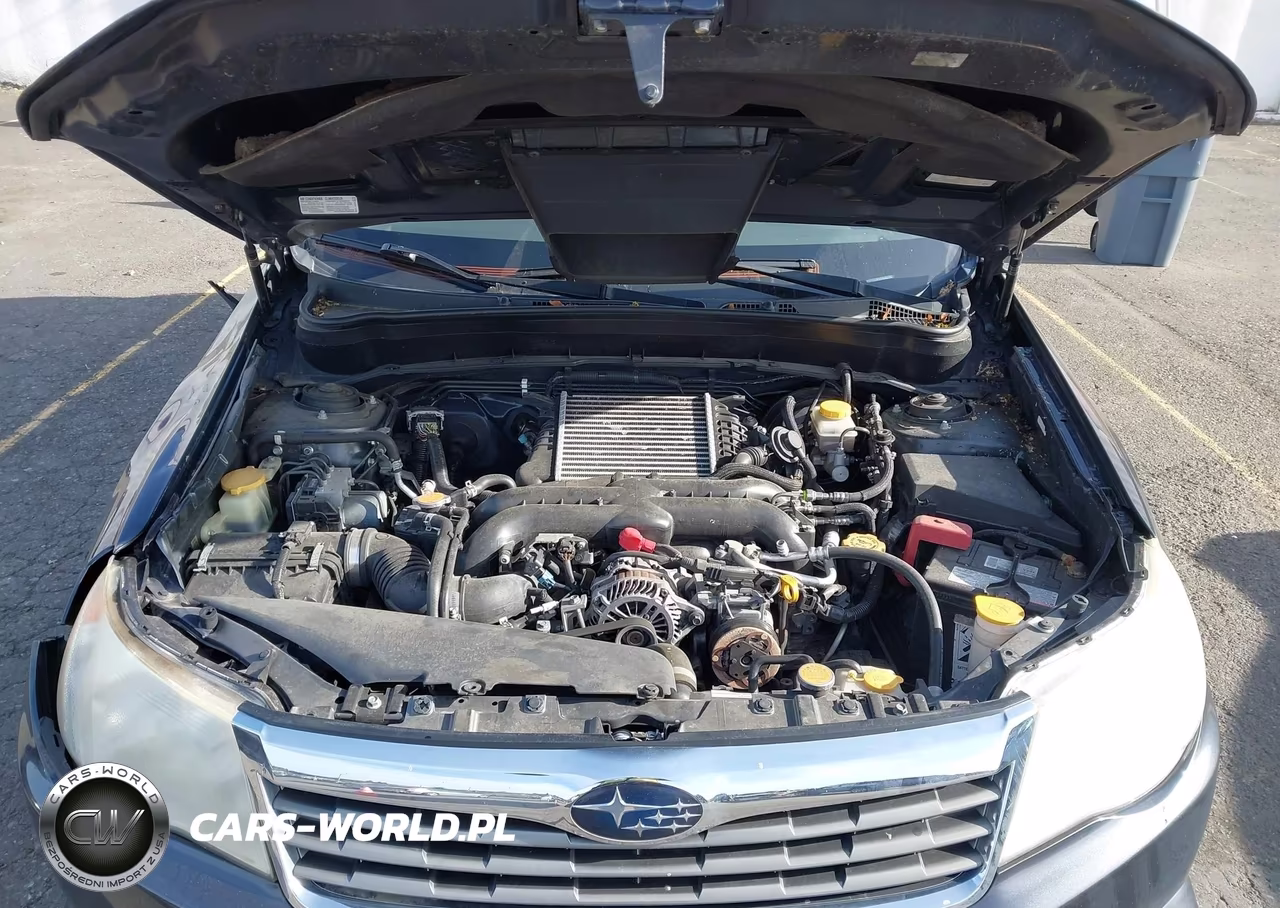 2010 Subaru Forester 2.5Xt Limited VIN:JF2SH6FC8AH900378 - 10