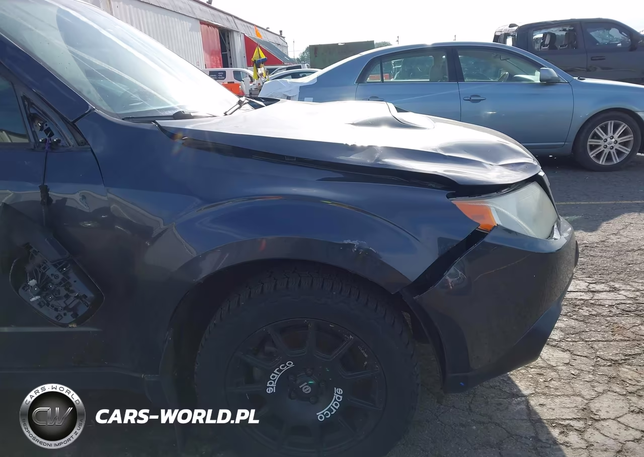 2010 Subaru Forester 2.5Xt Limited VIN:JF2SH6FC8AH900378 - 18