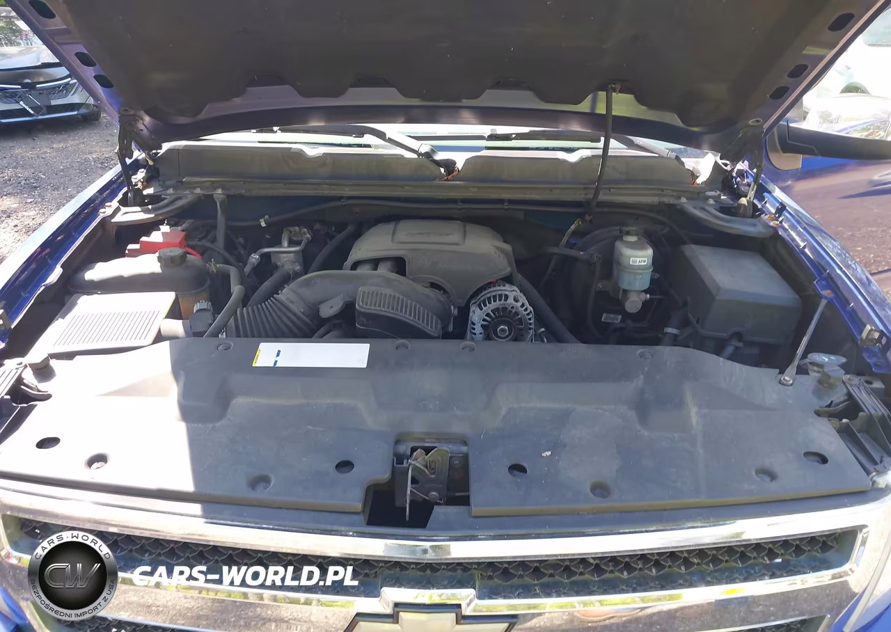 2010 Chevrolet Silverado 1500 Lt VIN:3GCRCSE05AG239317 - 10
