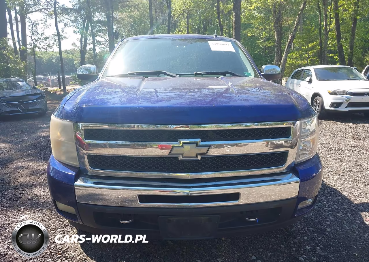 2010 Chevrolet Silverado 1500 Lt VIN:3GCRCSE05AG239317 - 12