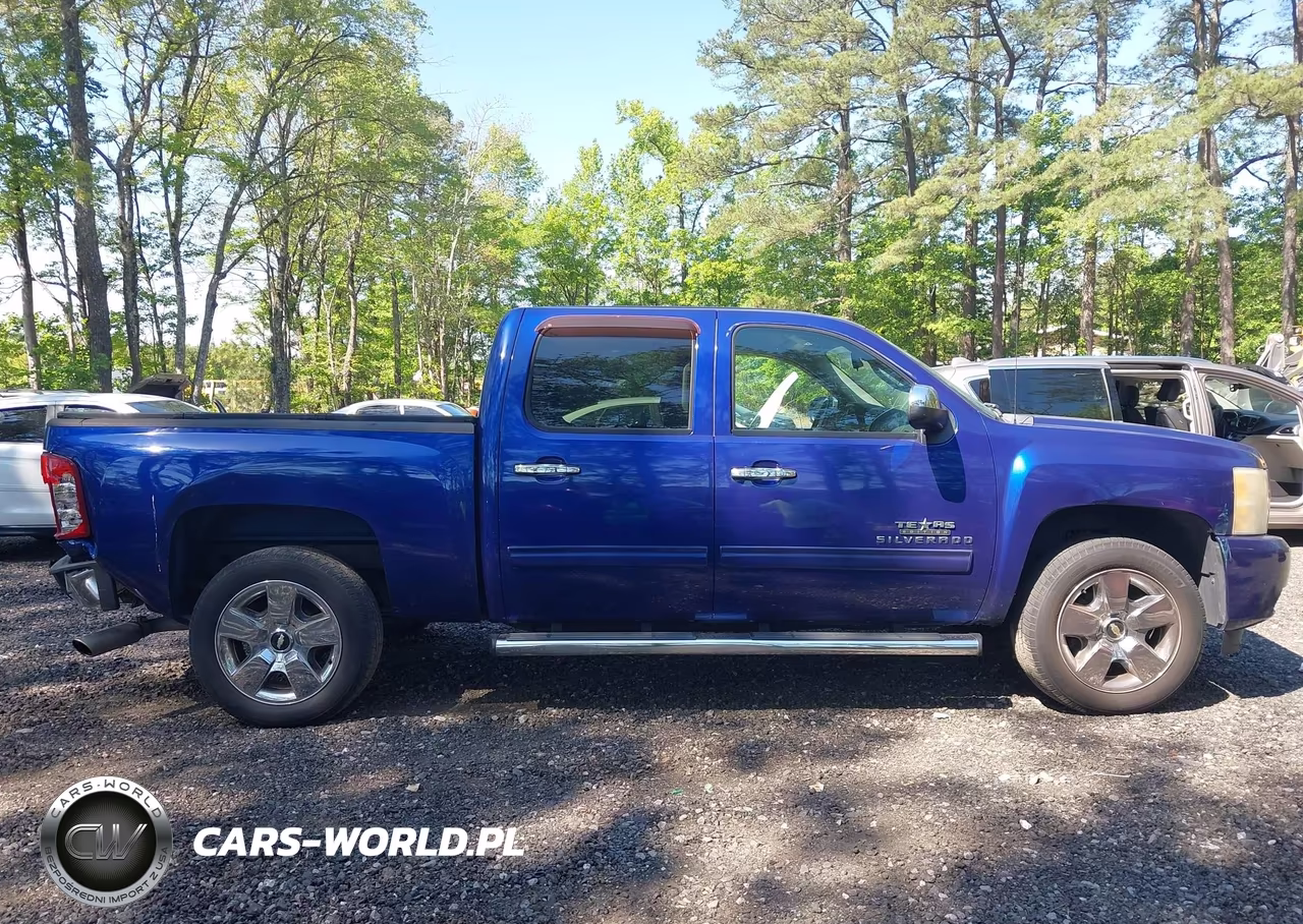 2010 Chevrolet Silverado 1500 Lt VIN:3GCRCSE05AG239317 - 13
