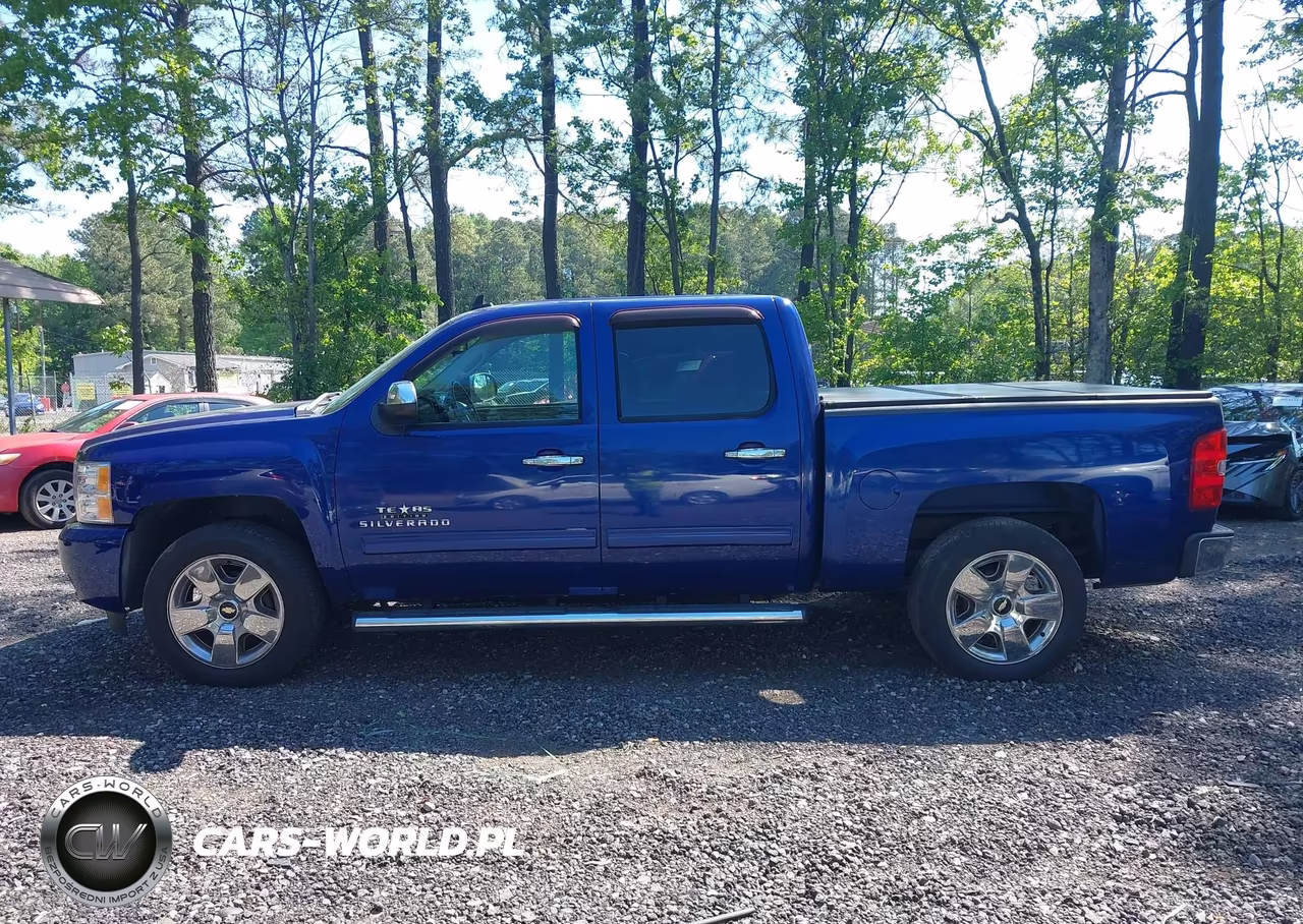 2010 Chevrolet Silverado 1500 Lt VIN:3GCRCSE05AG239317 - 14