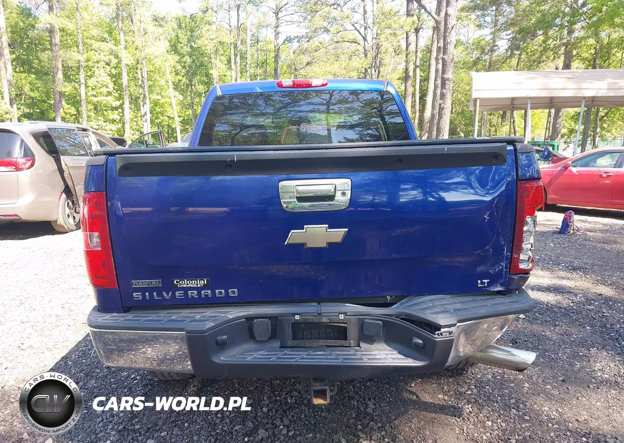2010 Chevrolet Silverado 1500 Lt VIN:3GCRCSE05AG239317 - 16