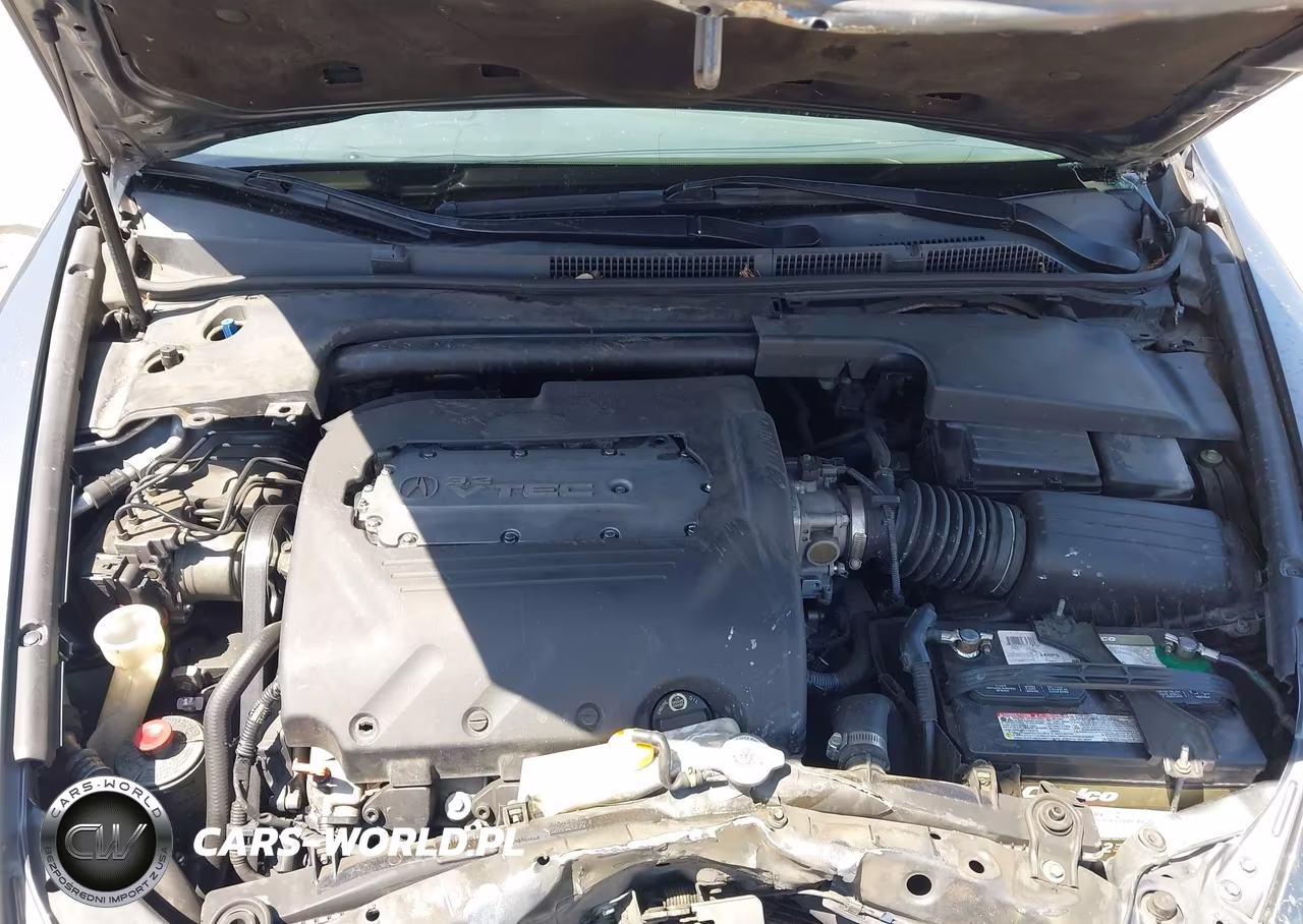2006 Acura Tl VIN:19UUA66286A042334 - 10