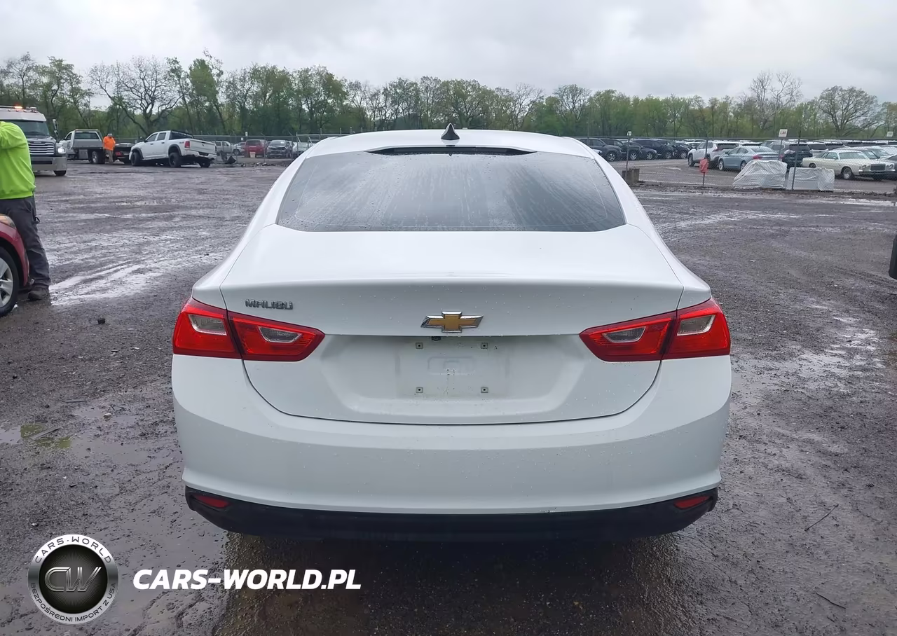 2018 Chevrolet Malibu 1Fl VIN:1G1ZC5STXJF242143 - 17