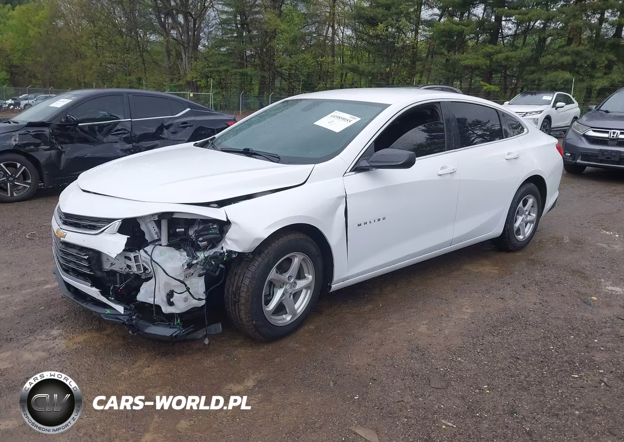 2018 Chevrolet Malibu 1Fl VIN:1G1ZC5STXJF242143 - 2
