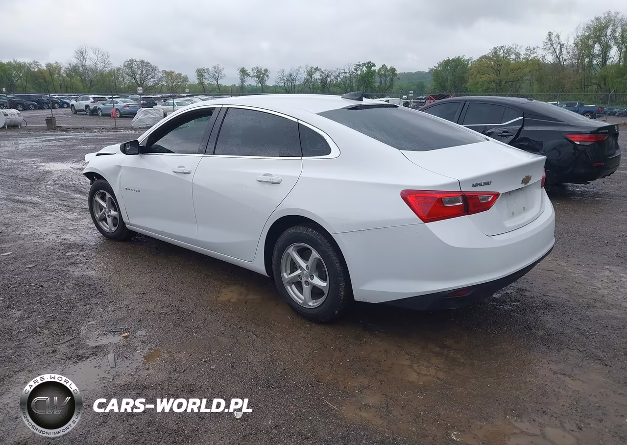 2018 Chevrolet Malibu 1Fl VIN:1G1ZC5STXJF242143 - 3