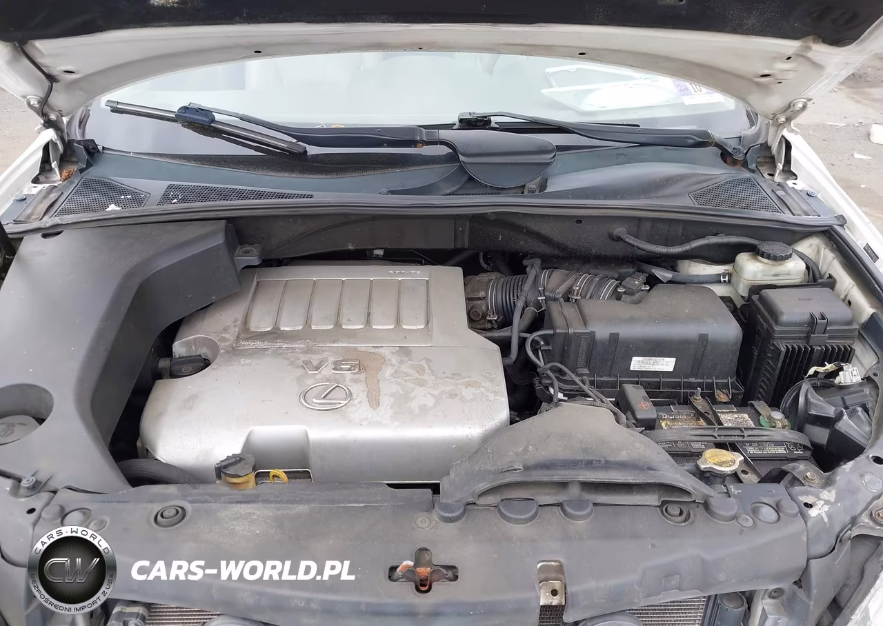 2009 Lexus Rx 350 VIN:2T2HK31U19C120131 - 10
