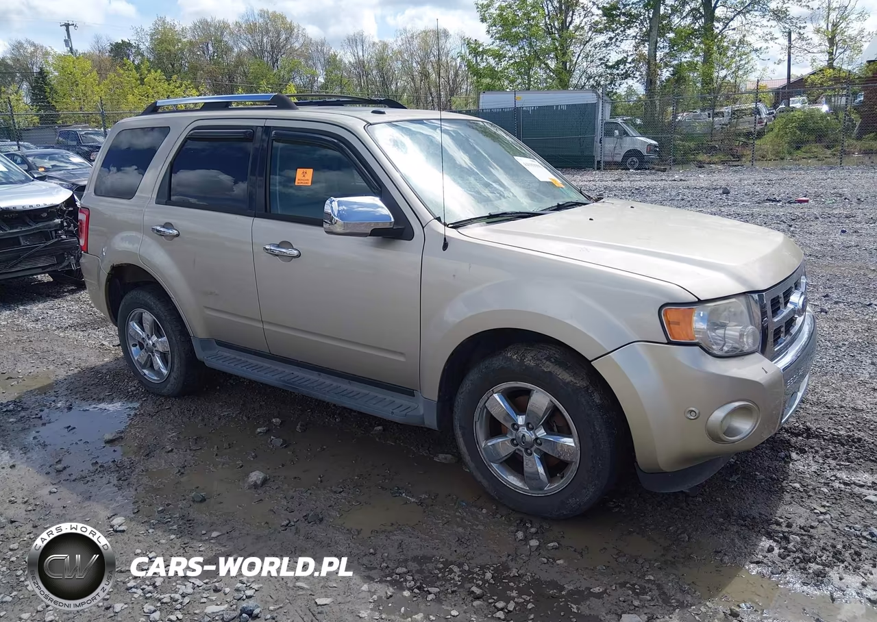 2011 Ford Escape Limited