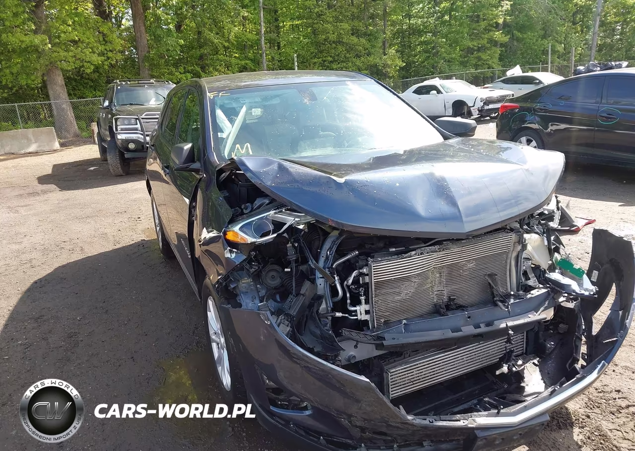 2019 Chevrolet Equinox Ls – zdjęcie 1 z 16