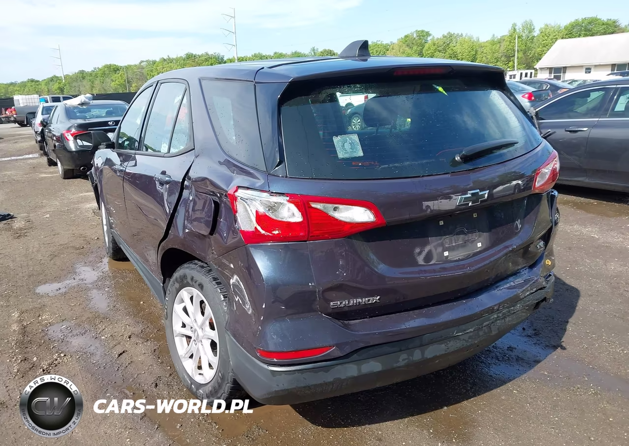 2019 Chevrolet Equinox Ls VIN:3GNAXHEVXKL284141 - 3