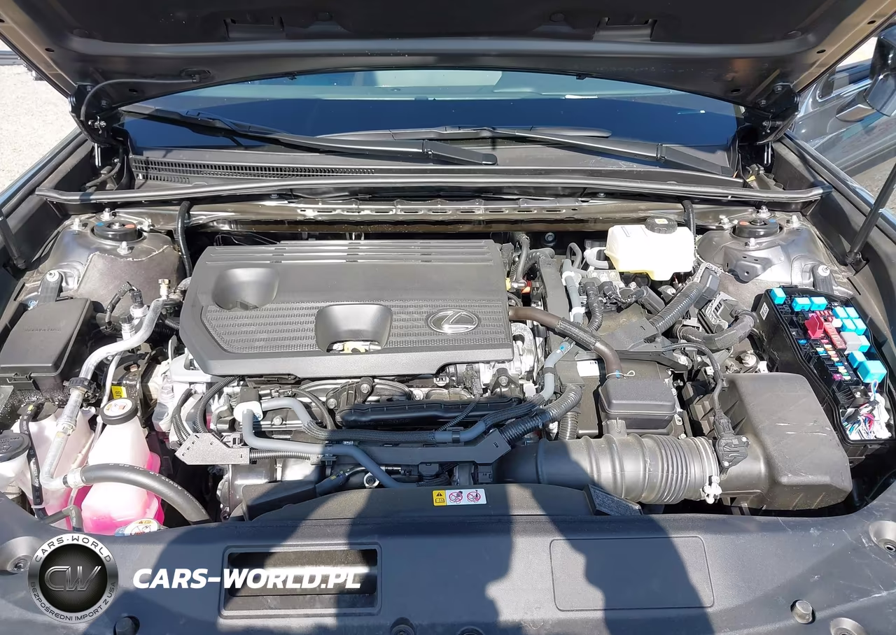 2025 Lexus Es 300H VIN:58ADA1C16SU058753 - 10