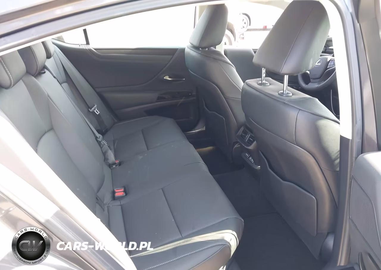 2025 Lexus Es 300H VIN:58ADA1C16SU058753 - 8