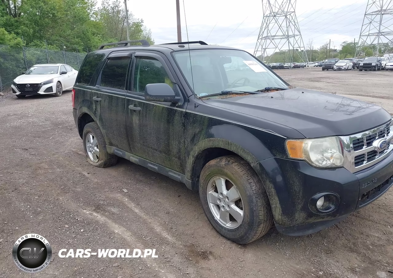 2010 Ford Escape Xlt