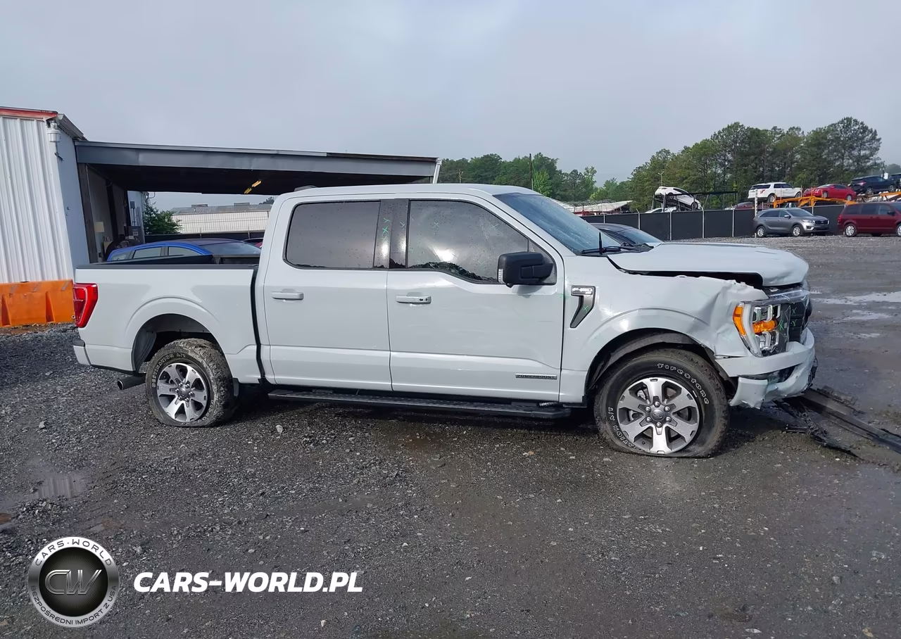 2023 Ford F-150 Xlt VIN:1FTFW1ED6PFD08887 - 13