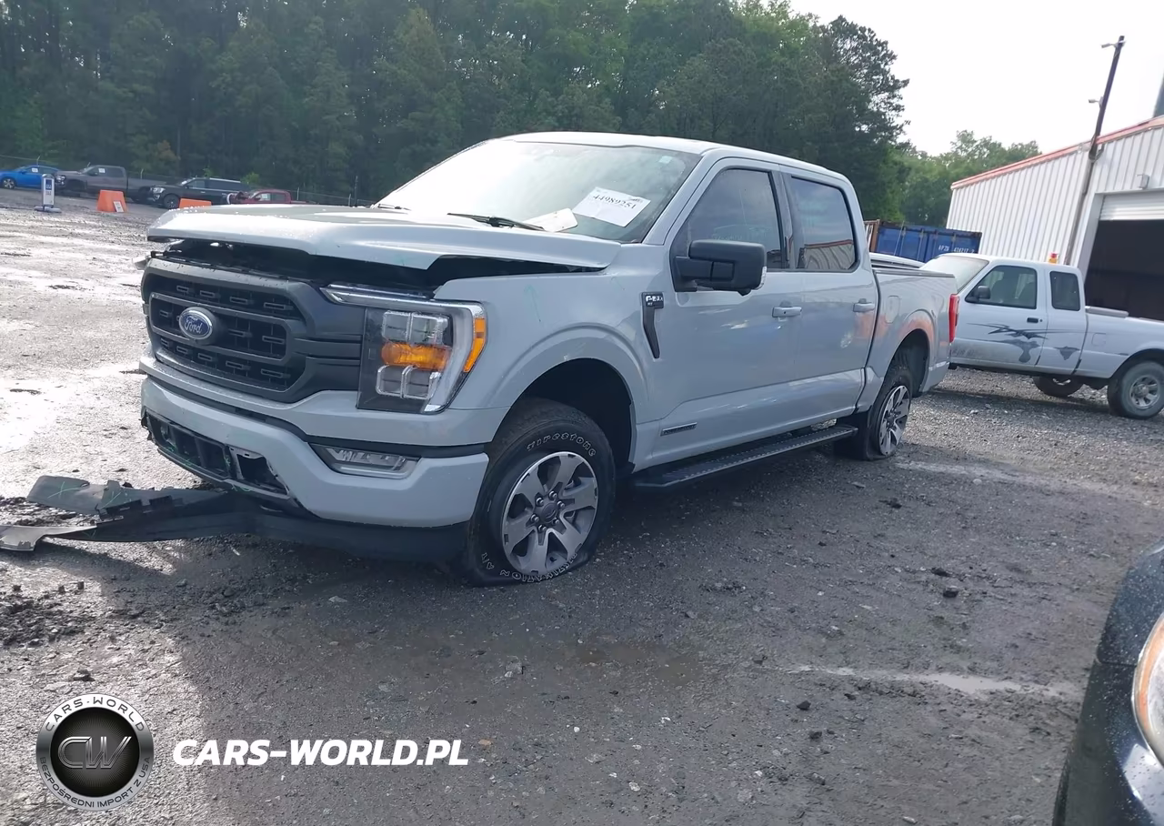2023 Ford F-150 Xlt VIN:1FTFW1ED6PFD08887 - 2
