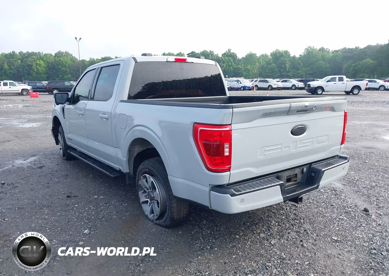 2023 Ford F-150 Xlt VIN:1FTFW1ED6PFD08887 - 3