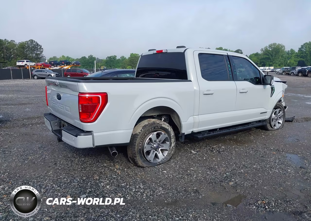2023 Ford F-150 Xlt VIN:1FTFW1ED6PFD08887 - 4