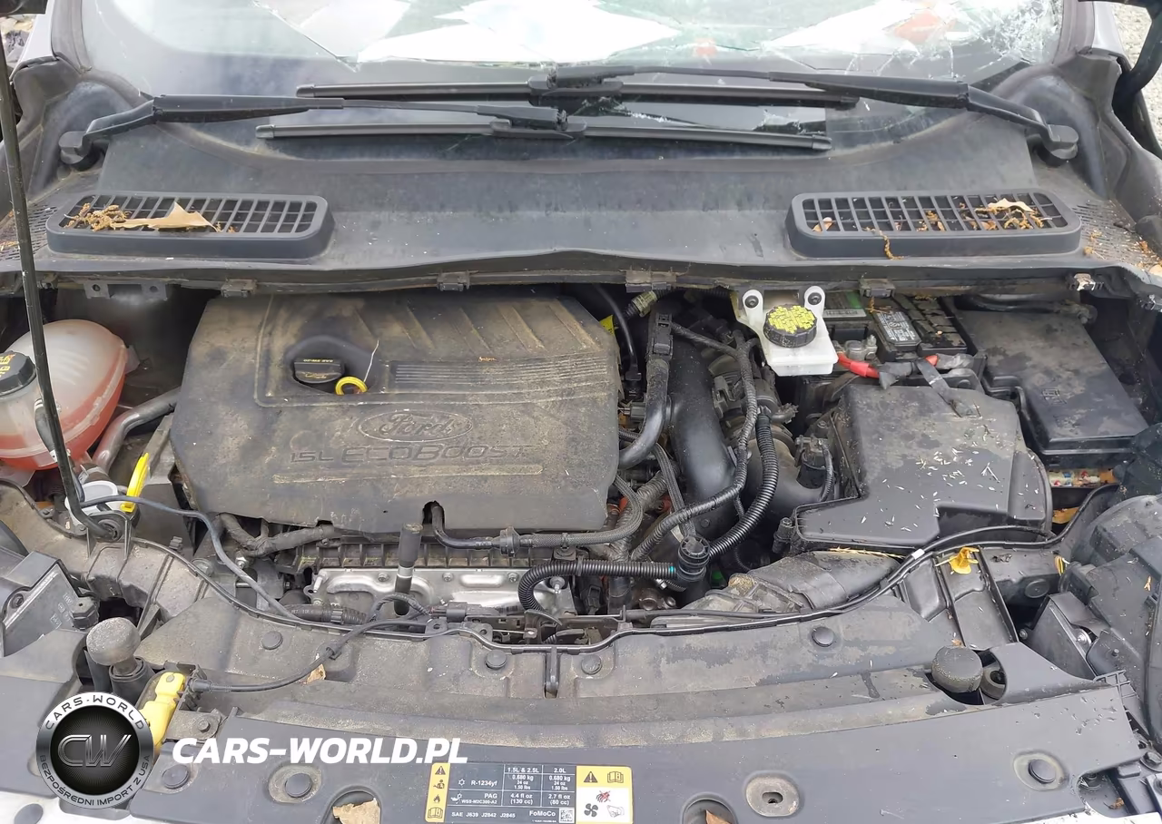 2017 Ford Escape Se VIN:1FMCU0GD0HUE32971 - 10