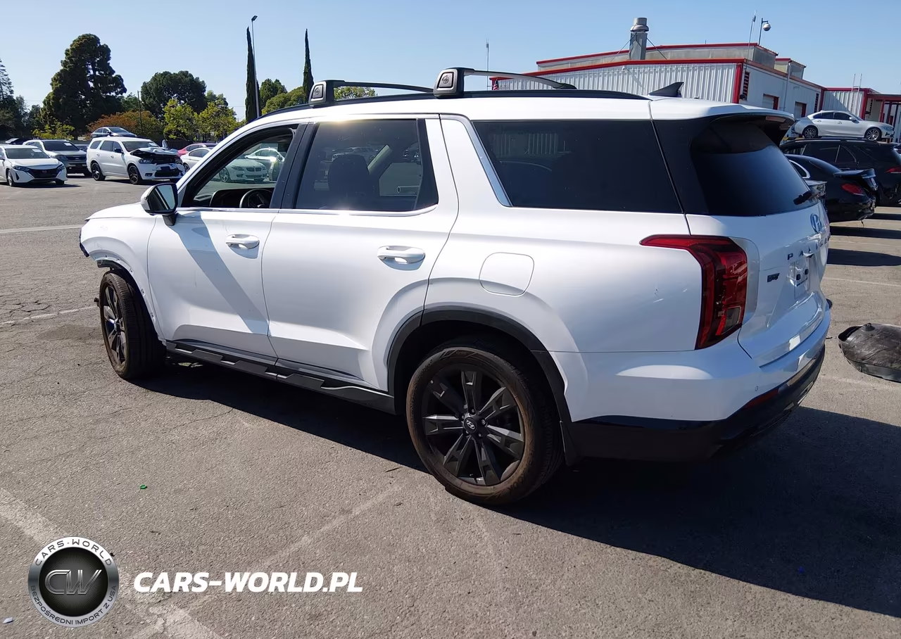 2025 Hyundai Palisade Xrt VIN:KM8R34GE1SU892001 - 3