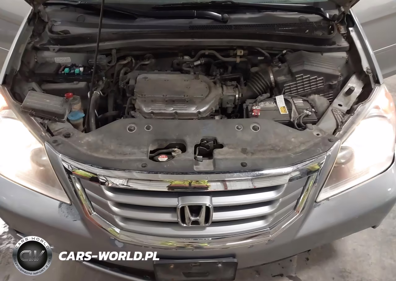 2010 Honda Odyssey Ex-L VIN:5FNRL3H67AB004316 - 10