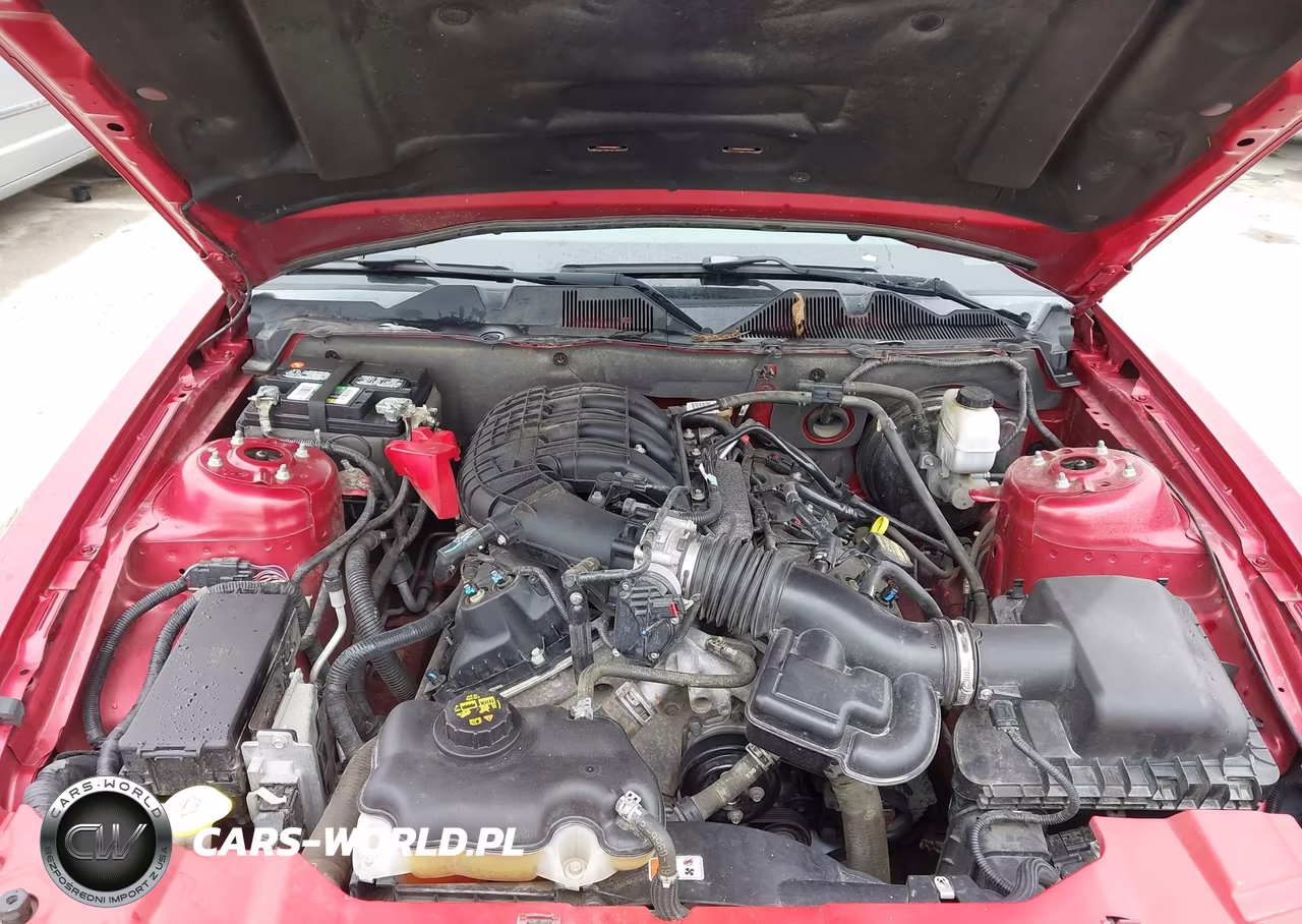 2013 Ford Mustang V6 VIN:1ZVBP8AM8D5225681 - 10