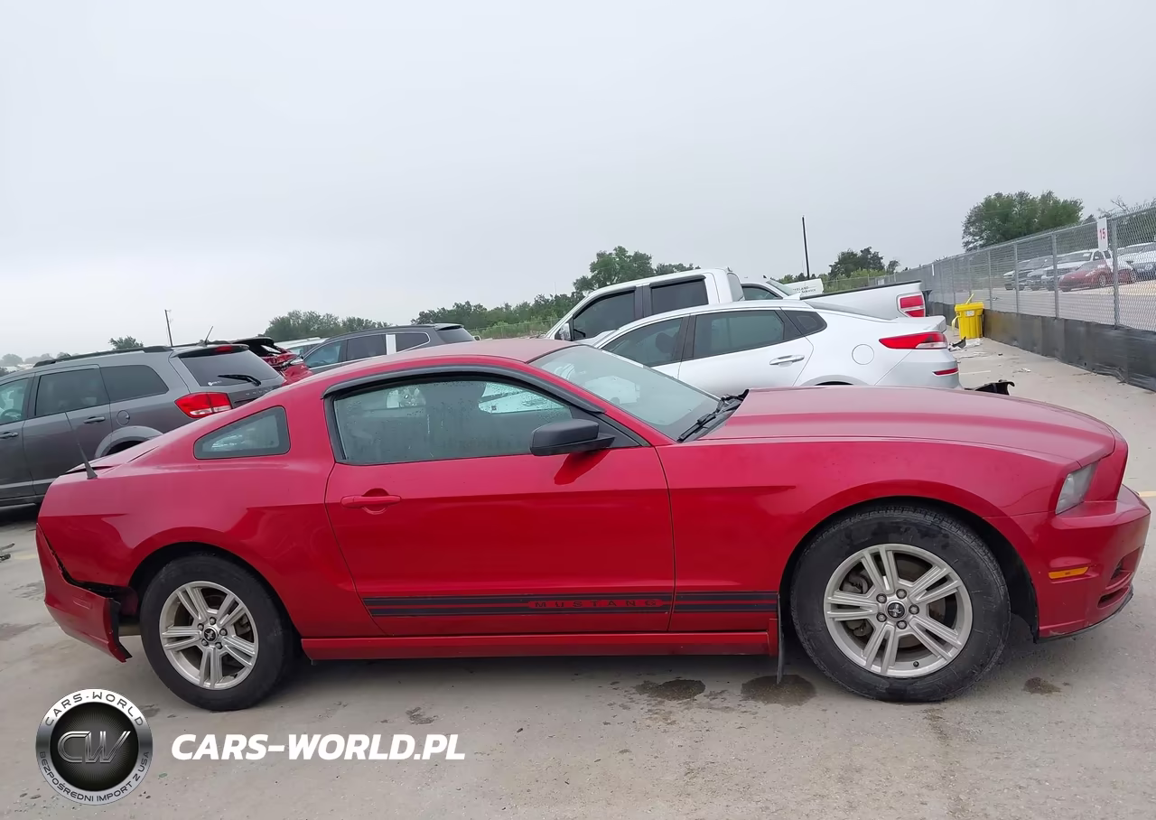 2013 Ford Mustang V6 VIN:1ZVBP8AM8D5225681 - 13