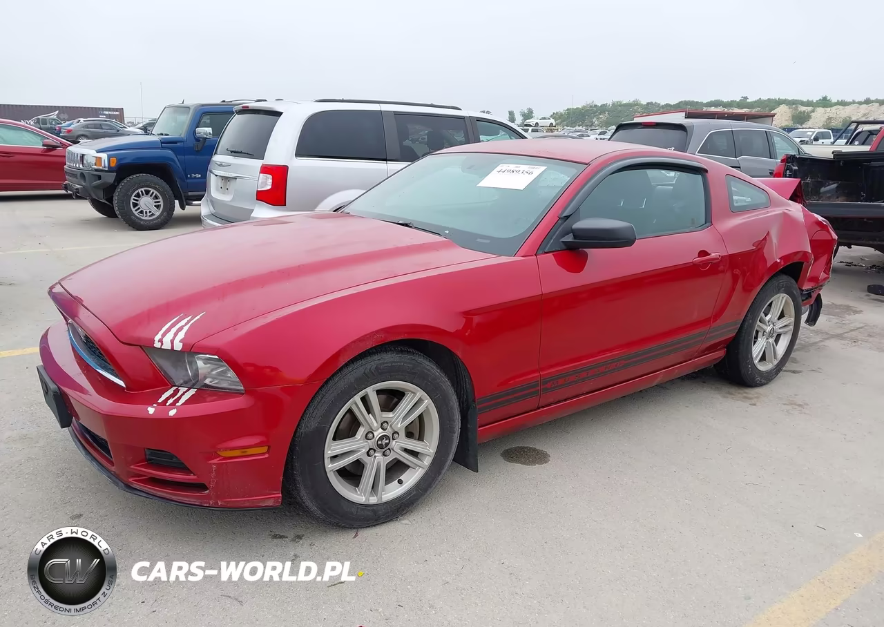 2013 Ford Mustang V6 VIN:1ZVBP8AM8D5225681 - 2