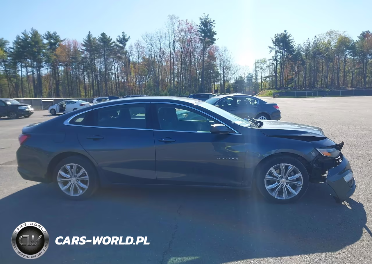2020 Chevrolet Malibu Fwd Lt VIN:1G1ZD5ST9LF075015 - 13