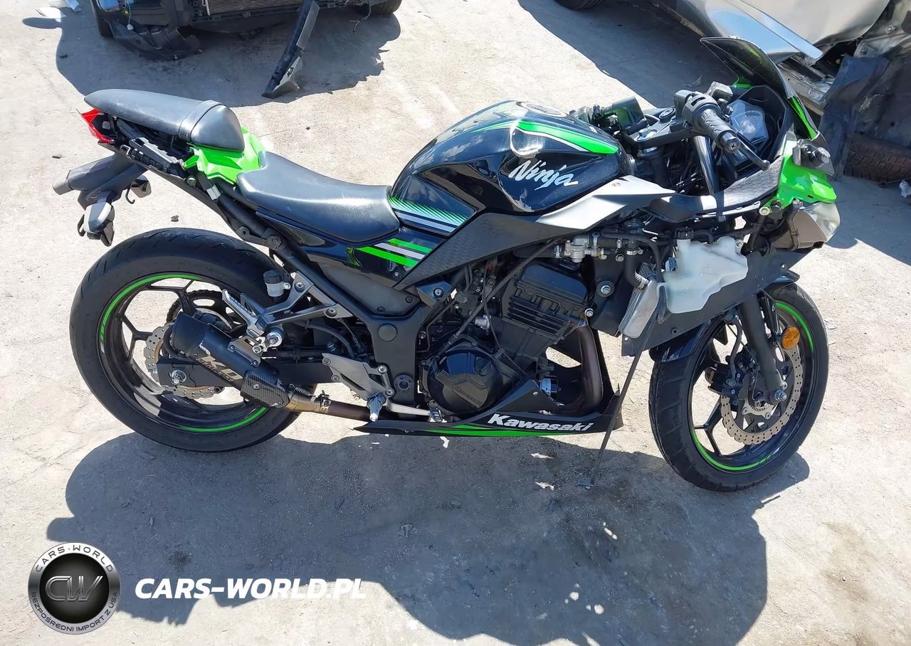 2016 Kawasaki Ex300 B VIN:JKAEX8B14GDA29328 - 12