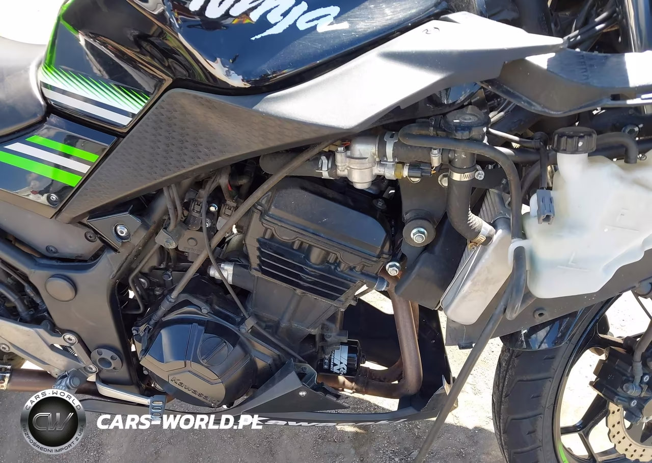 2016 Kawasaki Ex300 B VIN:JKAEX8B14GDA29328 - 8