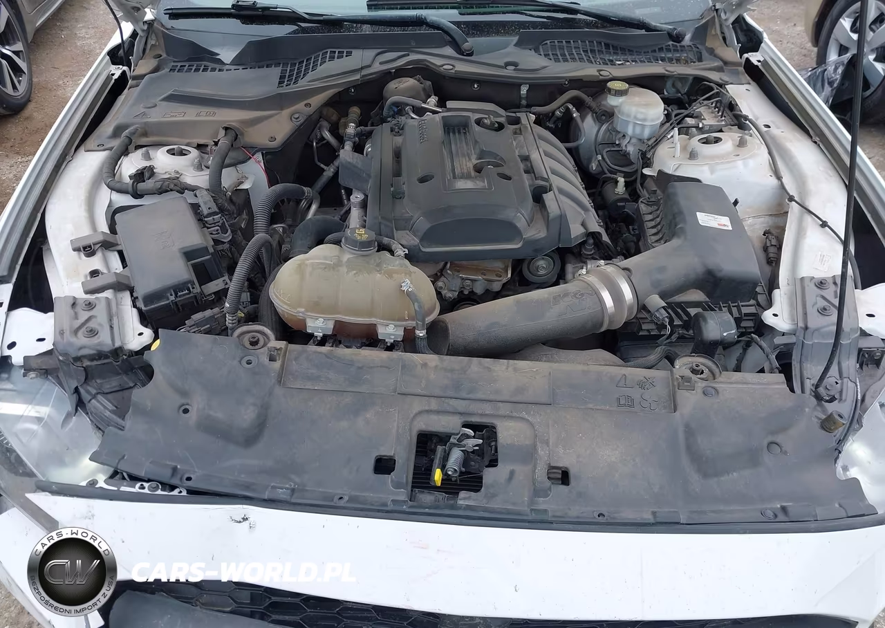 2018 Ford Mustang Ecoboost VIN:1FA6P8TH4J5172094 - 10