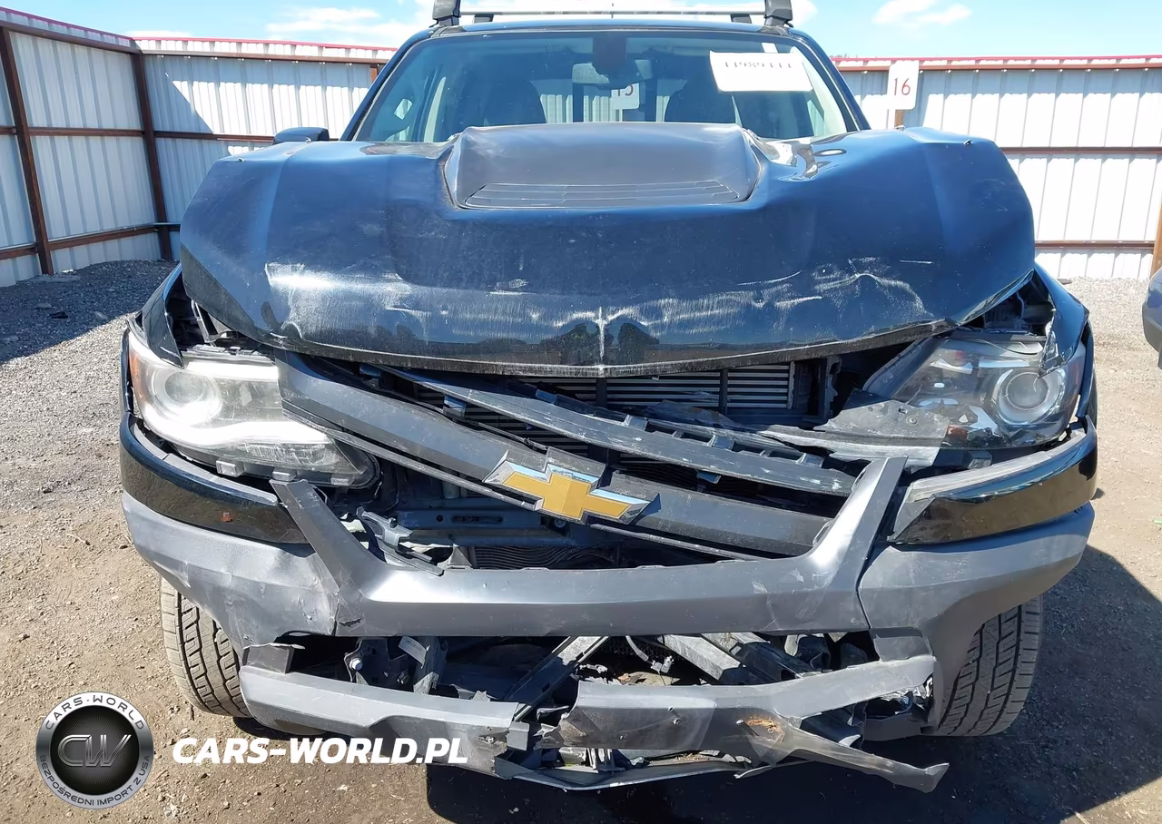 2018 Chevrolet Colorado Zr2 VIN:1GCPTEE14J1306036 - 19
