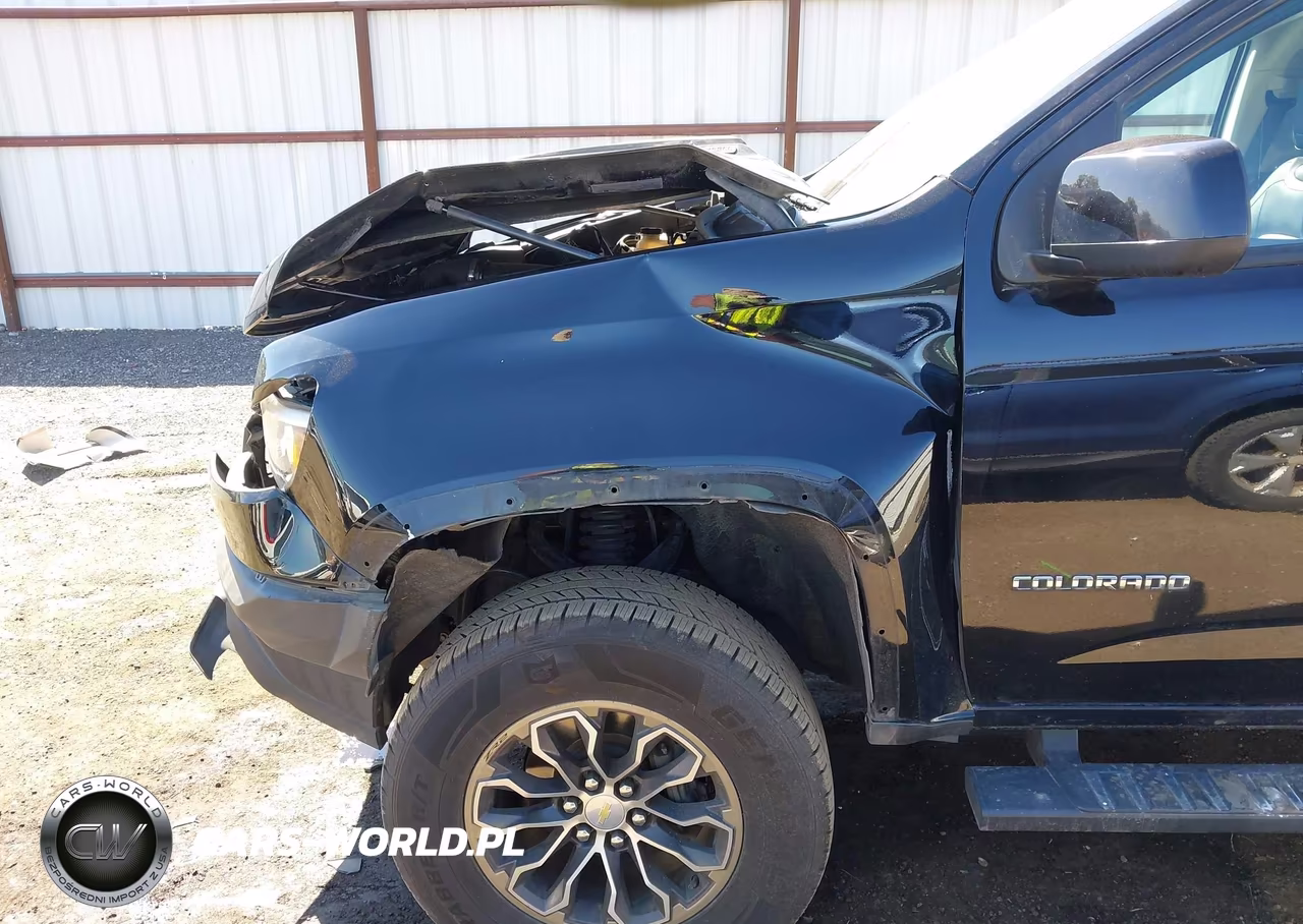 2018 Chevrolet Colorado Zr2 VIN:1GCPTEE14J1306036 - 6