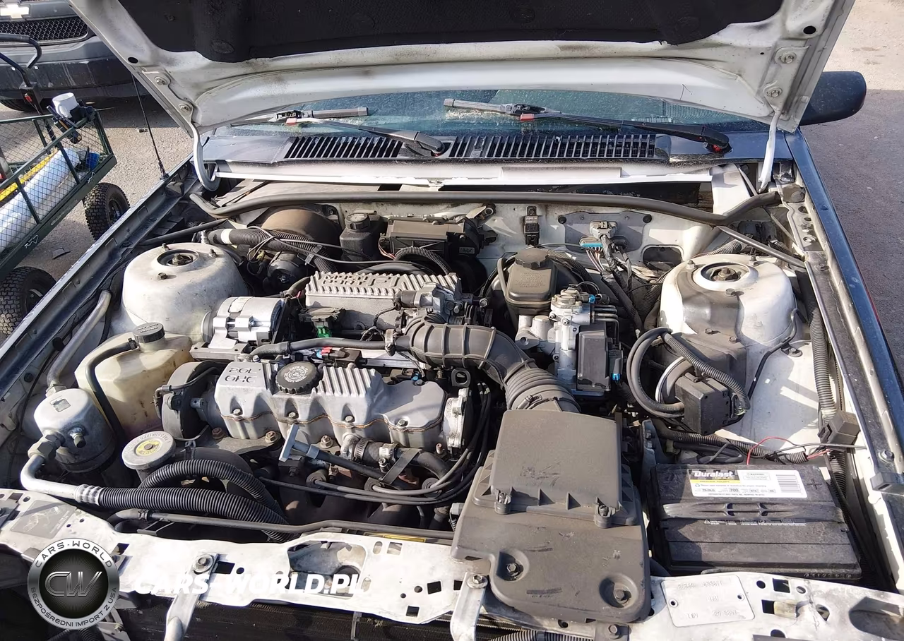 1992 Pontiac Sunbird Se VIN:1G2JB34H3N7560548 - 10