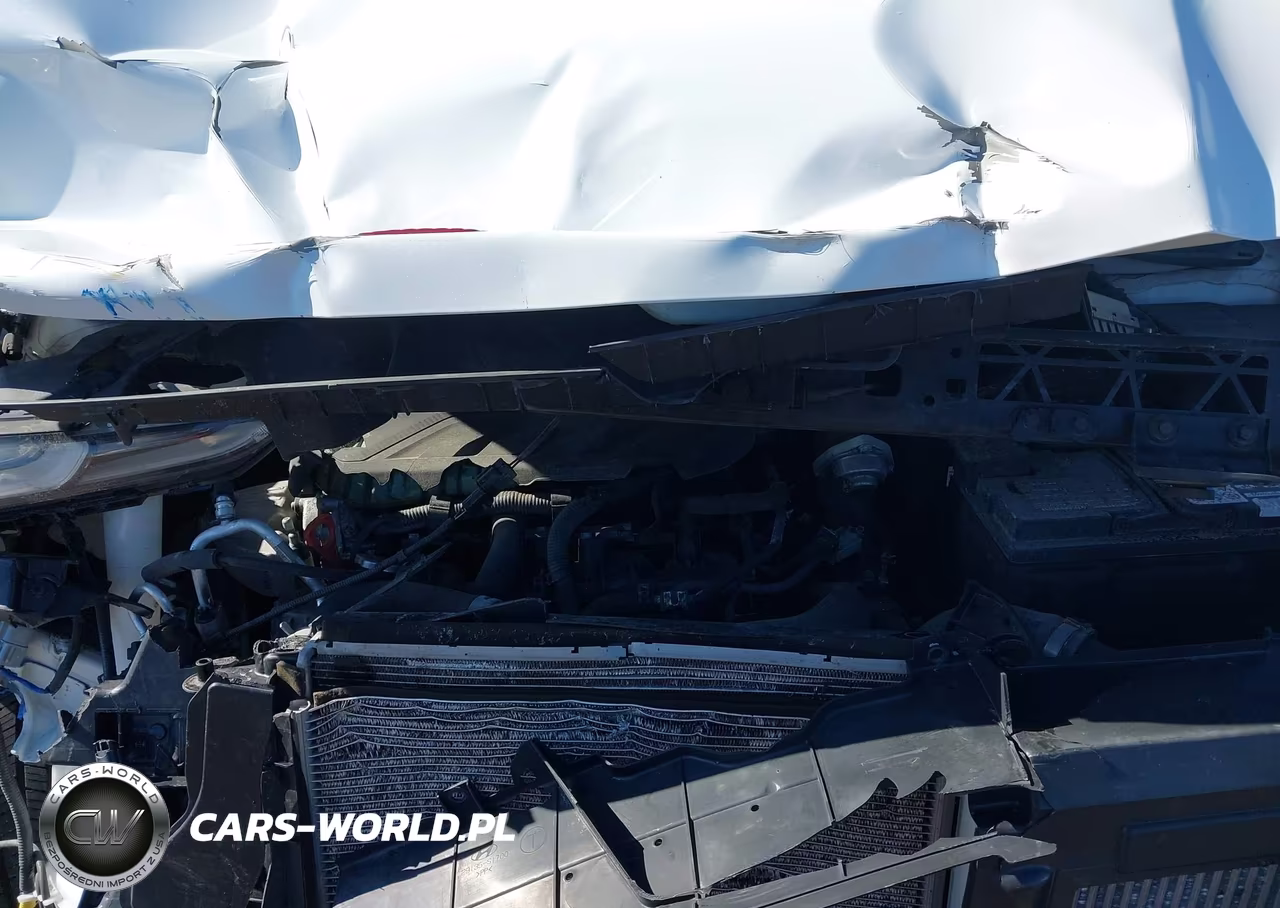 2019 Hyundai Santa Fe Limited 2.0T VIN:5NMS5CAA6KH022929 - 10
