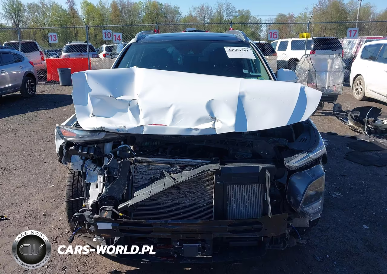 2019 Hyundai Santa Fe Limited 2.0T VIN:5NMS5CAA6KH022929 - 13