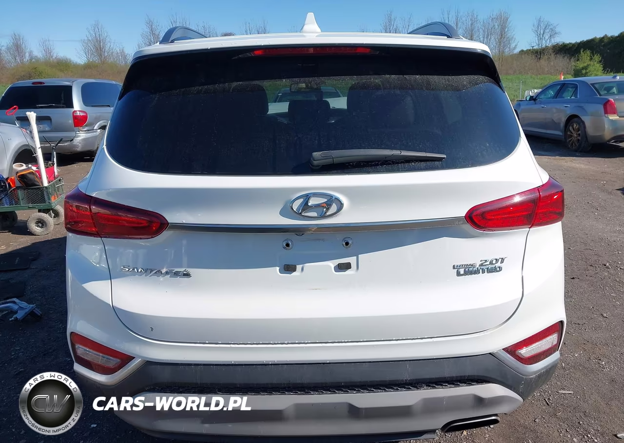 2019 Hyundai Santa Fe Limited 2.0T VIN:5NMS5CAA6KH022929 - 17
