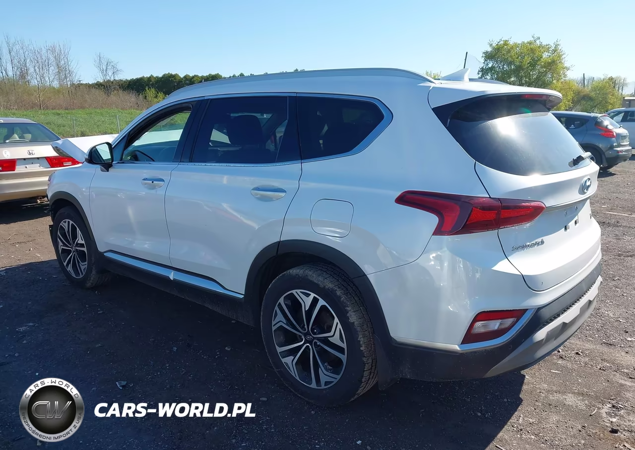 2019 Hyundai Santa Fe Limited 2.0T VIN:5NMS5CAA6KH022929 - 3