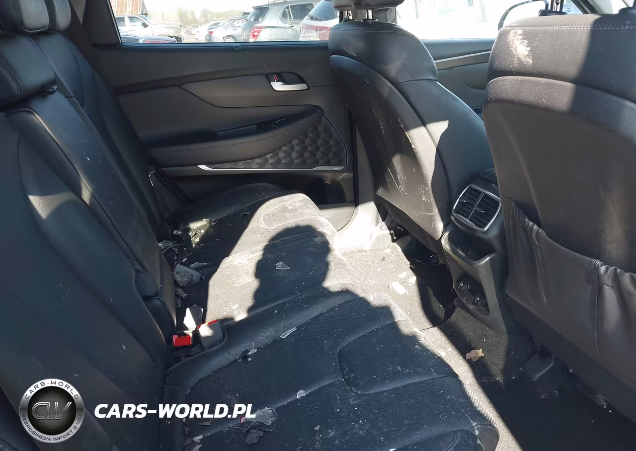 2019 Hyundai Santa Fe Limited 2.0T VIN:5NMS5CAA6KH022929 - 8