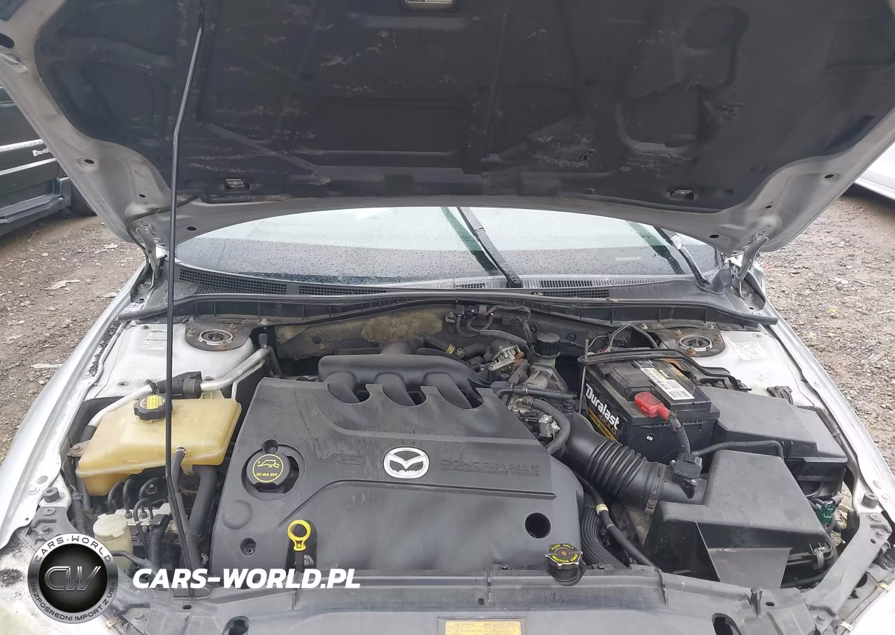 2004 Mazda Mazda6 S VIN:1YVFP82DX45N75486 - 10