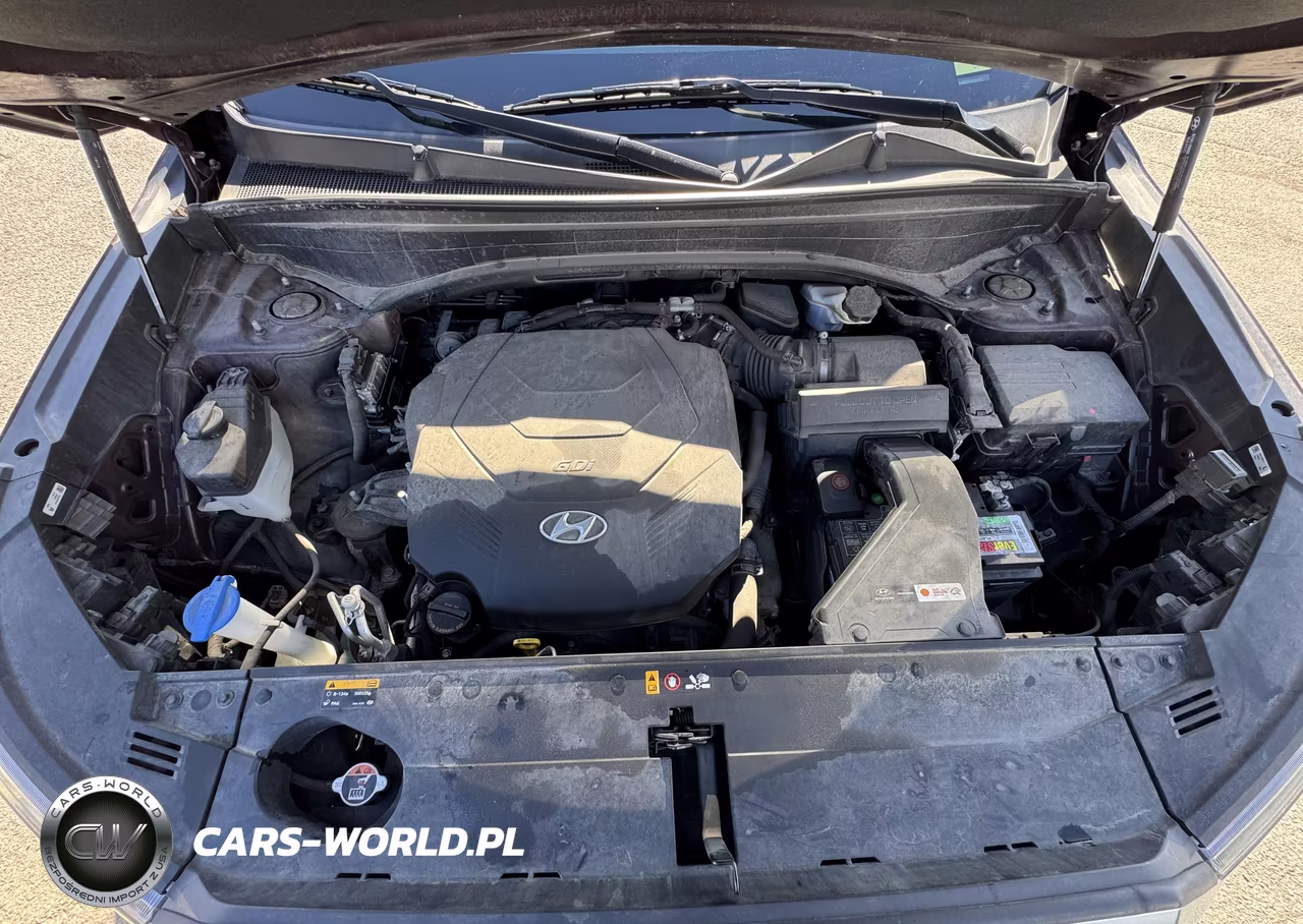 2021 Hyundai Palisade Sel VIN:KM8R34HE7MU209221 - 9