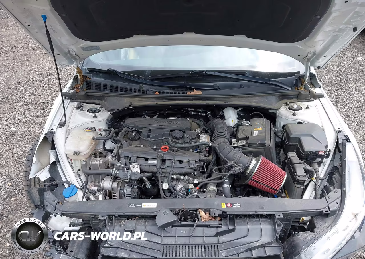 2022 Hyundai Elantra N Line VIN:KMHLR4AF8NU370119 - 10