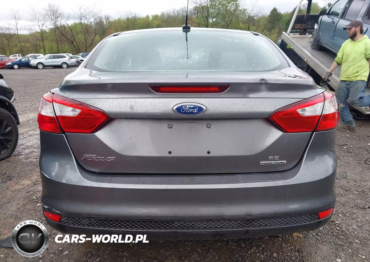 2014 Ford Focus Se VIN:1FADP3F22EL181699 - 16