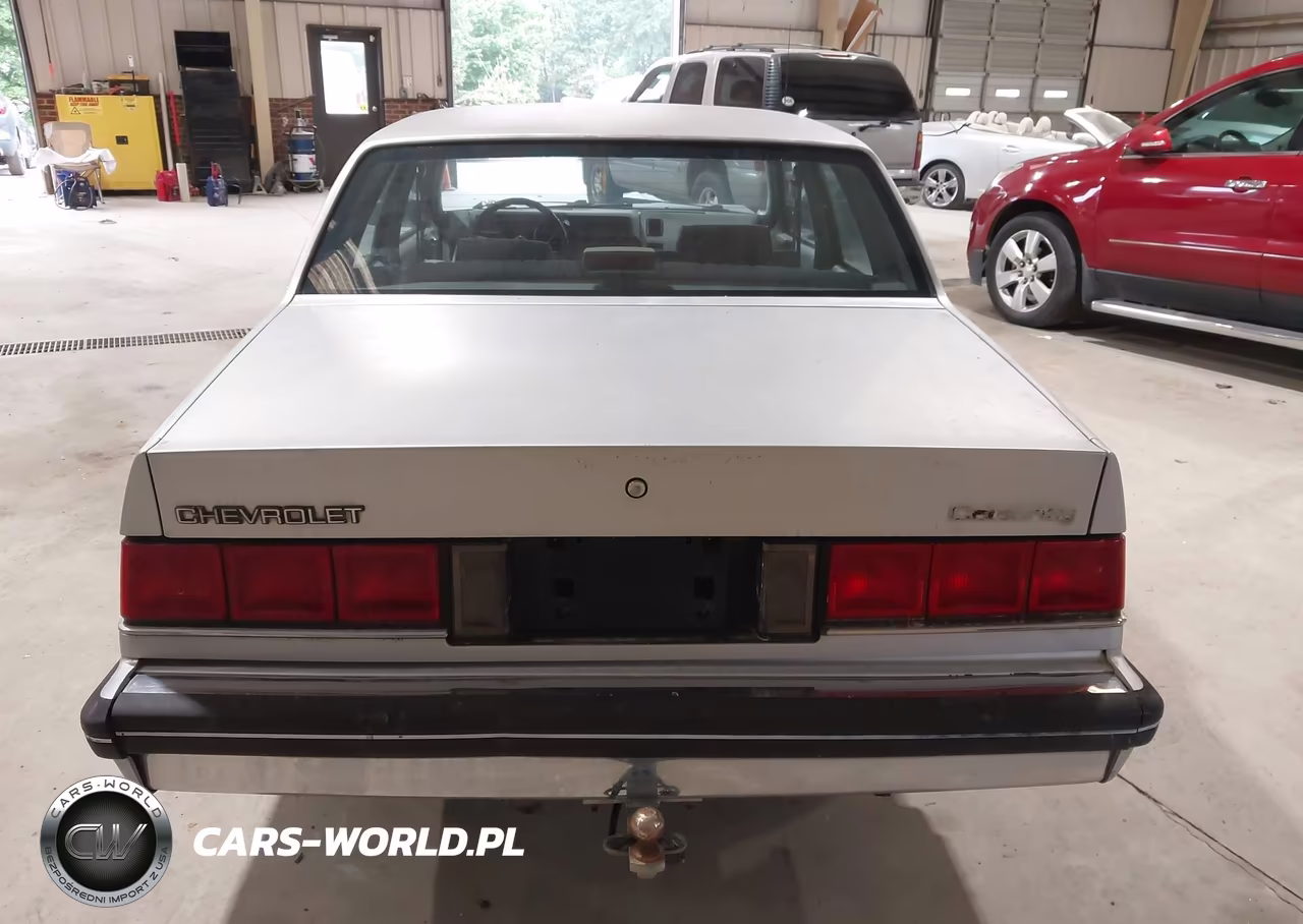 1989 Chevrolet Celebrity VIN:1G1AW51R1K6216607 - 16