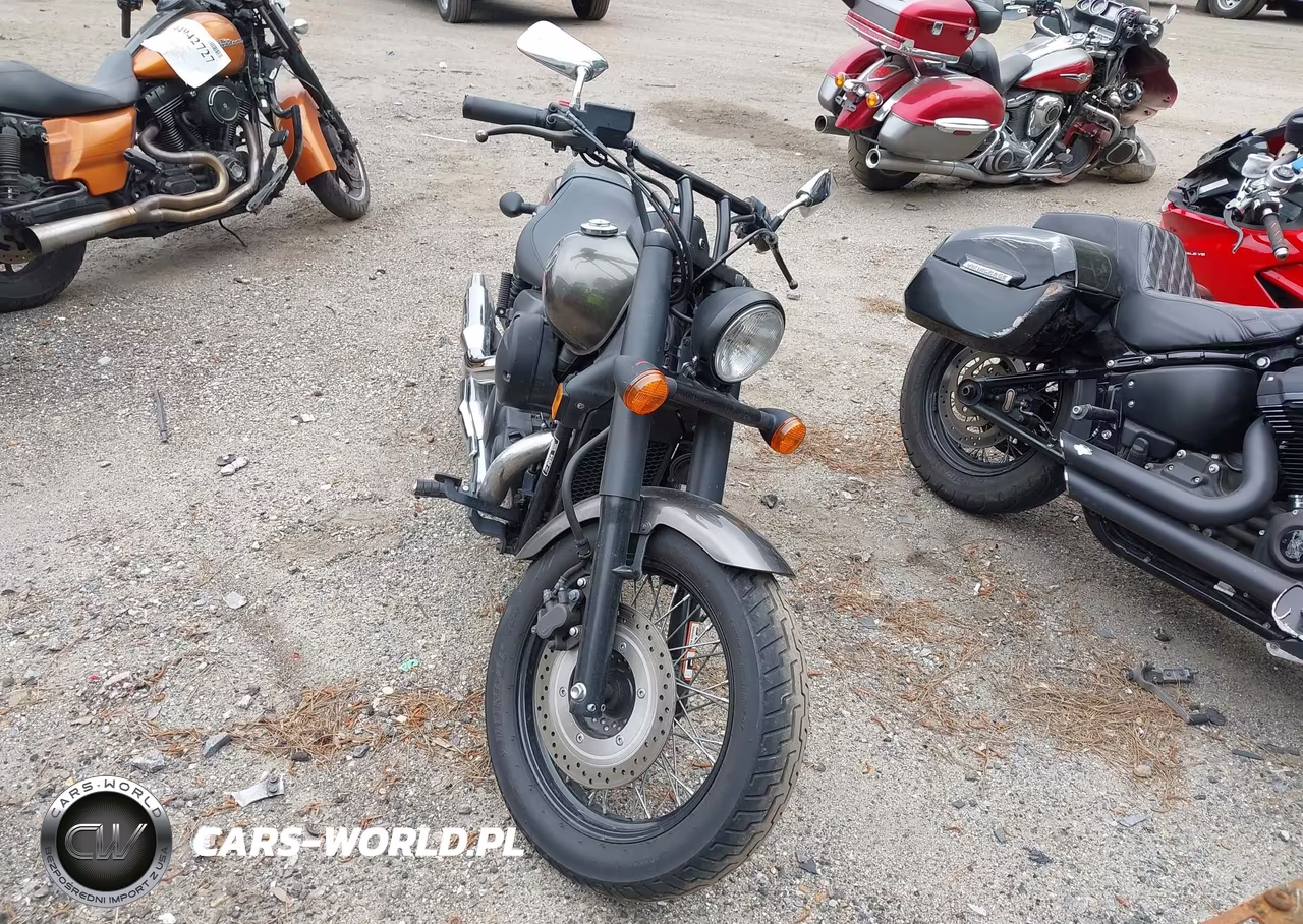 2014 Honda Vt750 C2B VIN:JH2RC5375EK400708 - 5
